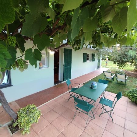 Independent Apartment With A Fabulous Patio - Casa Penny Cisano sul Neva ภายนอก รูปภาพ